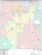 Mount Prospect  Wall Map Premium Style